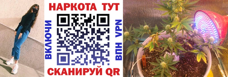 Магазин наркотиков Петропавловск-Камчатский Псилоцибиновые грибы  МЕТАМФЕТАМИН  СК  ГАШ  МАРИХУАНА  КОКАИН 