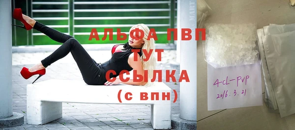 кокс Арсеньев