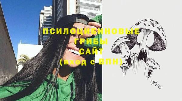 кокс Арсеньев