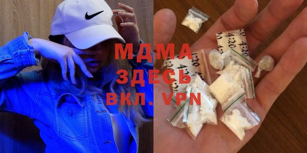 индика Алексин