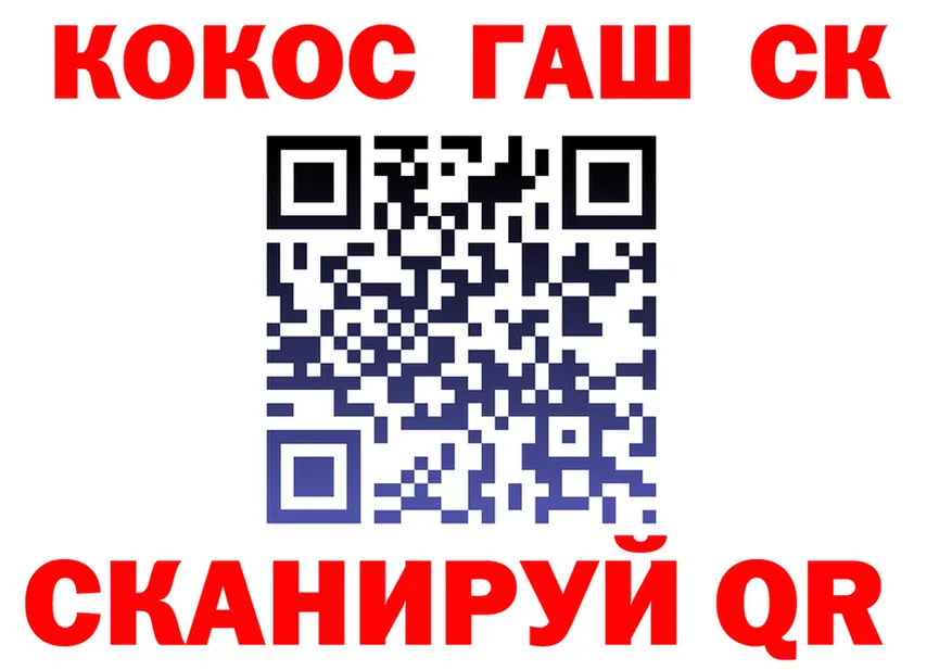 Альфа ПВП мука маркетплейс shop МЕГА Петропавловск-Камчатский