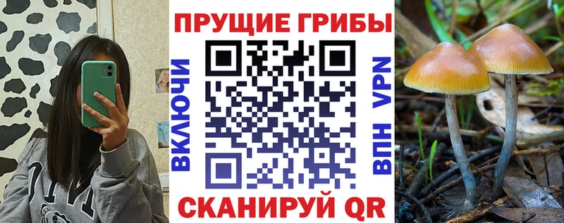 Галлюциногенные грибы мицелий  Петропавловск-Камчатский 